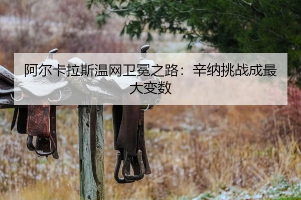 a-er-ka-la-si-wen-wang-wei-mian-zhi-lu-xin-na-tiao-zhan-cheng-zui-da-bian-shu-2-346.jpg