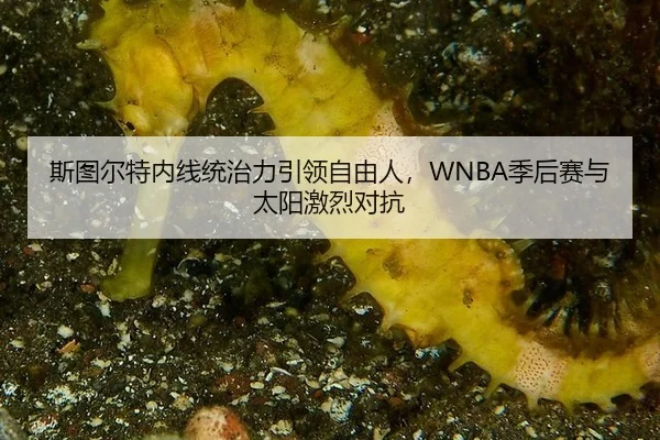 si-tu-er-te-nei-xian-tong-zhi-li-yin-ling-zi-you-ren-ji-hou-sai-yu-tai-yang-ji-lie-dui-kang-3-787.jpg