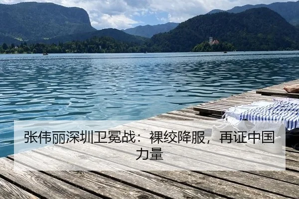 zhang-wei-li-shen-zhen-wei-mian-zhan-luo-jiao-xiang-fu-zai-zheng-zhong-guo-li-liang-3-114.jpg