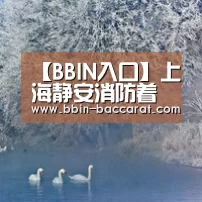 BBIN娱乐城