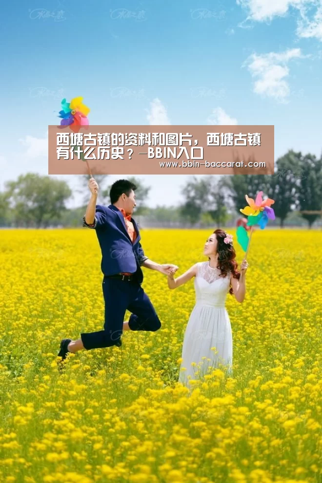 BBIN娱乐城