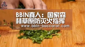 BBIN真人